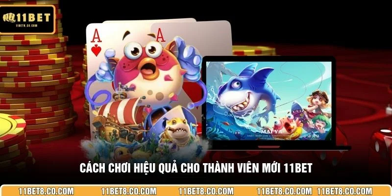 Cách chơi hiệu quả cho thành viên mới 11BET