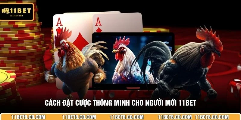 Cách đặt cược thông minh cho người mới 11BET