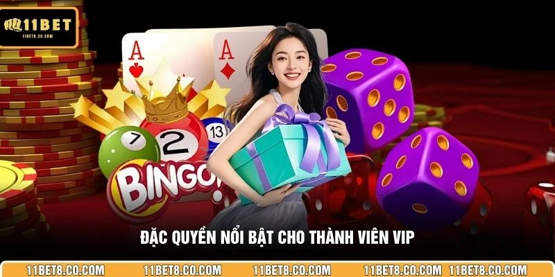 Đặc quyền nổi bật cho thành viên VIP