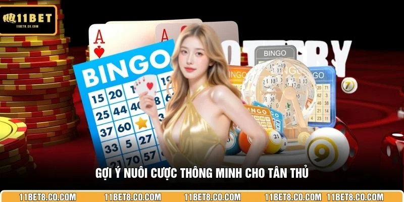Gợi ý nuôi cược thông minh cho tân thủ