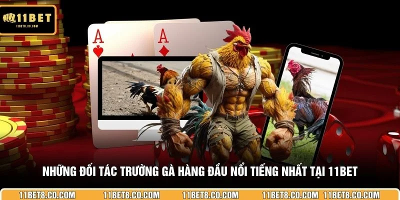 Những đối tác trường gà hàng đầu nổi tiếng nhất tại 11BET